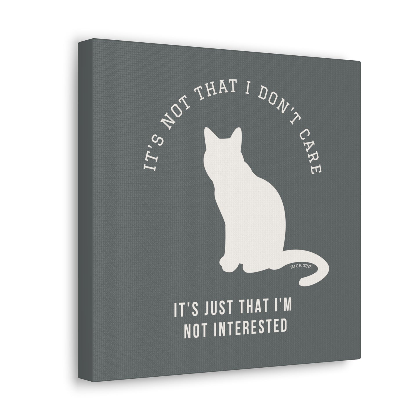 Don't Care . . . Not Interested 12" x 12" Canvas Gallery Wrap