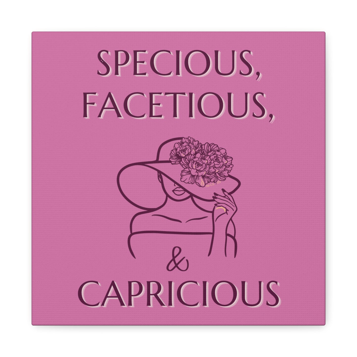 Specious,  Facetious and Capricious 12" x 12" Canvas Gallery Wrap